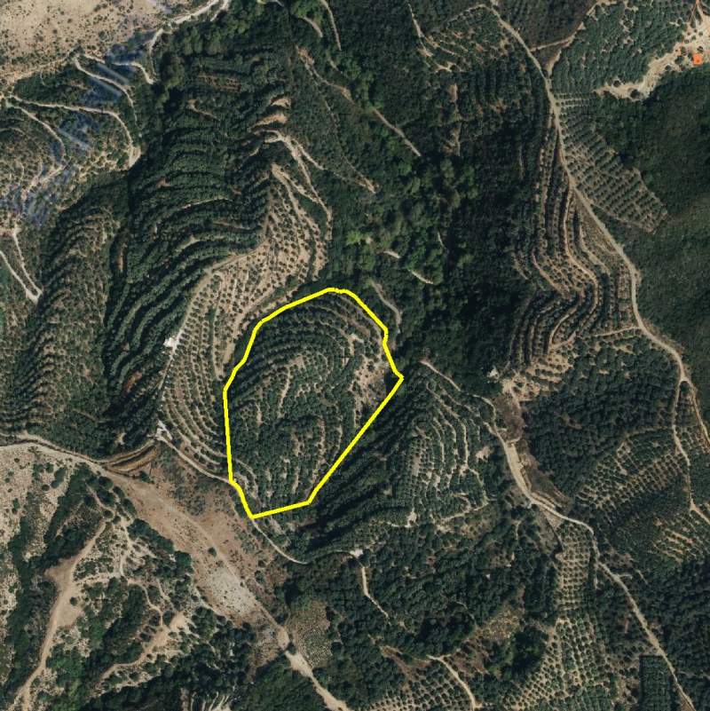 property-img