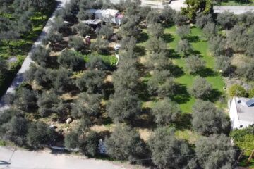 Exceptional plot of land measuring 1160 square meters in Stalos